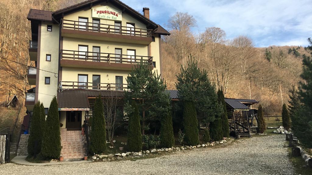 Vila Colt De Rai Hotel Rîşnov Екстериор снимка
